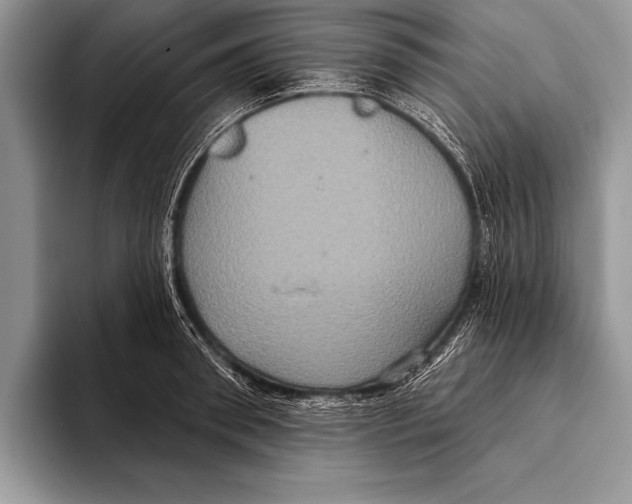 X0000093400898200711091339