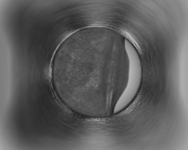 X0000093400900200711091339