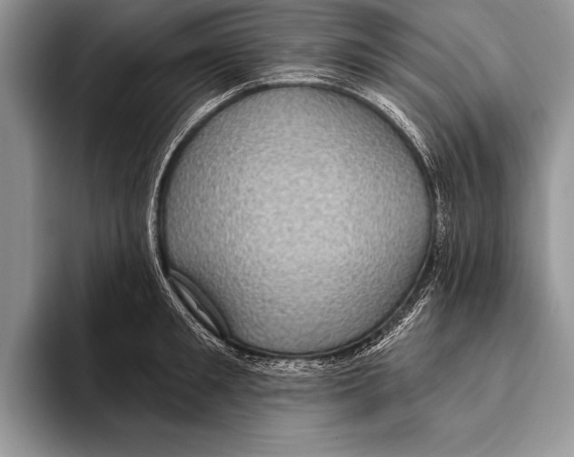 X0000093400901200711091339