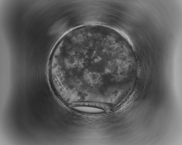 X0000093400903200711091339