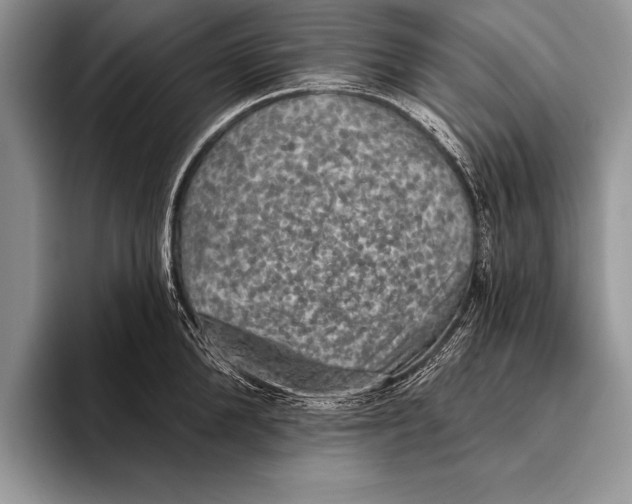 X0000093400904200711091339