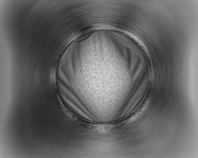 X0000093400905200711091339