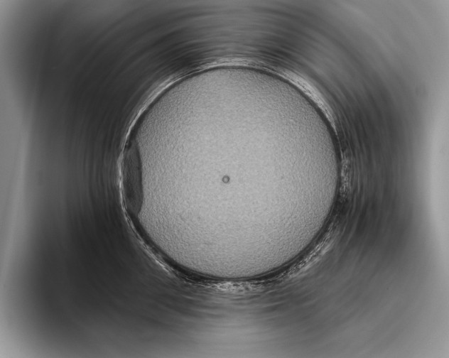 X0000093400906200711091339