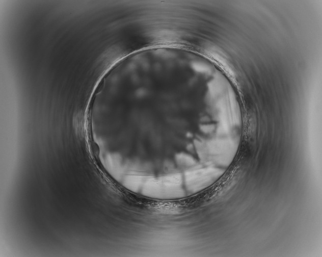 X0000093400907200711091339