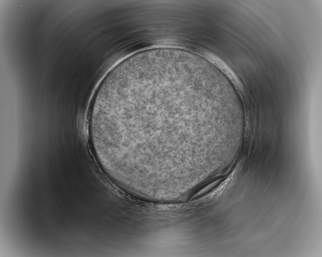 X0000093400908200711091339