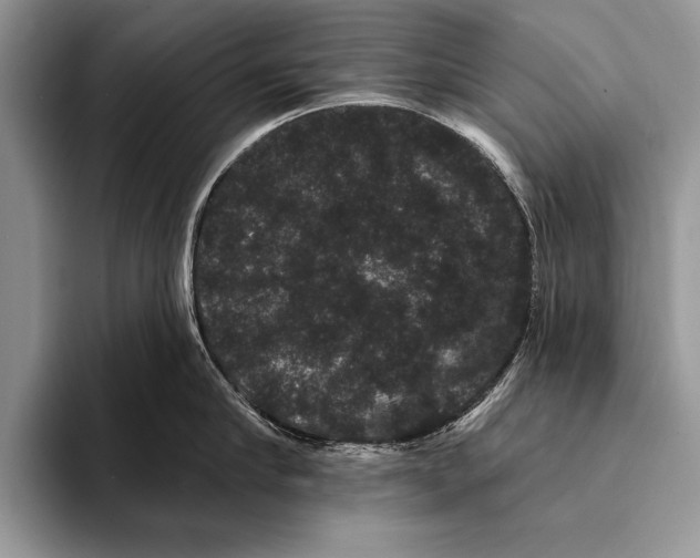 X0000093400910200711091339