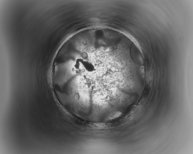 X0000093400911200711091339