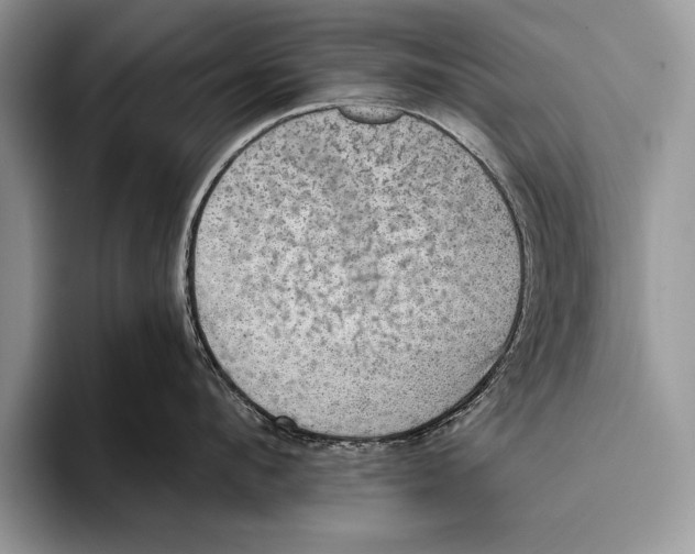 X0000093400912200711091339