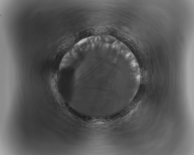 X0000093400913200711091338