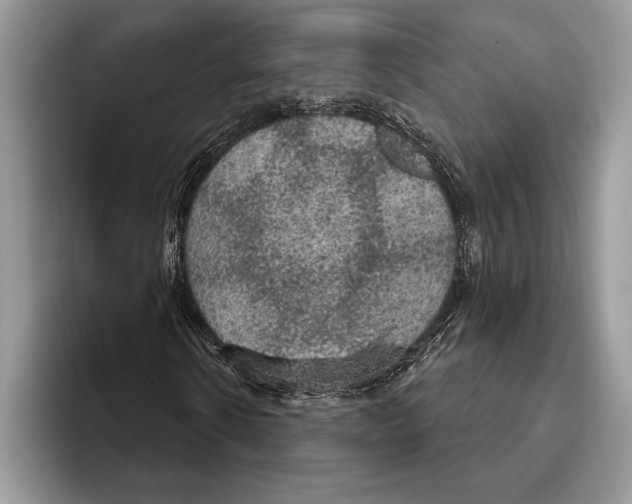 X0000093400914200711091338