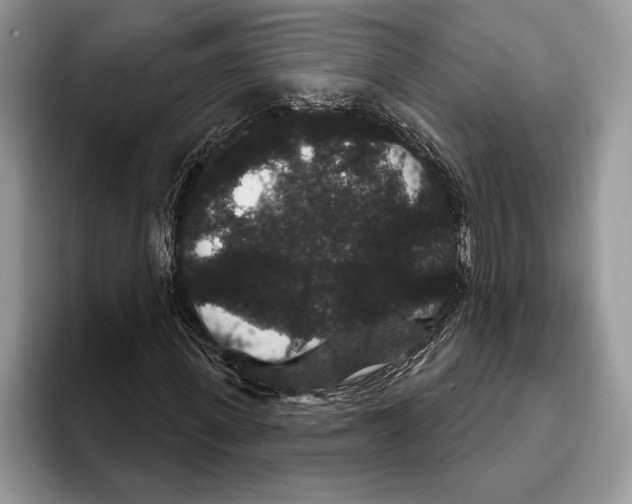 X0000093400915200711091338