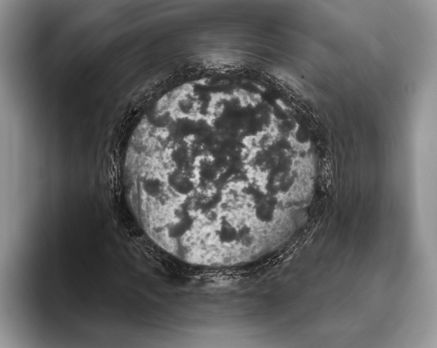 X0000093400917200711091338