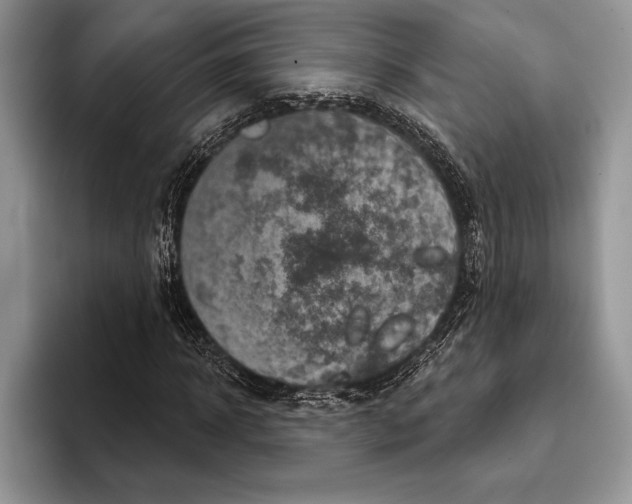 X0000093400918200711091338