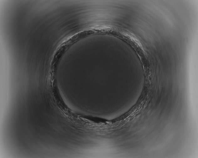 X0000093400920200711091338