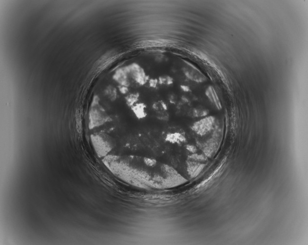 X0000093400921200711091338