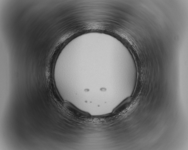 X0000093400922200711091338