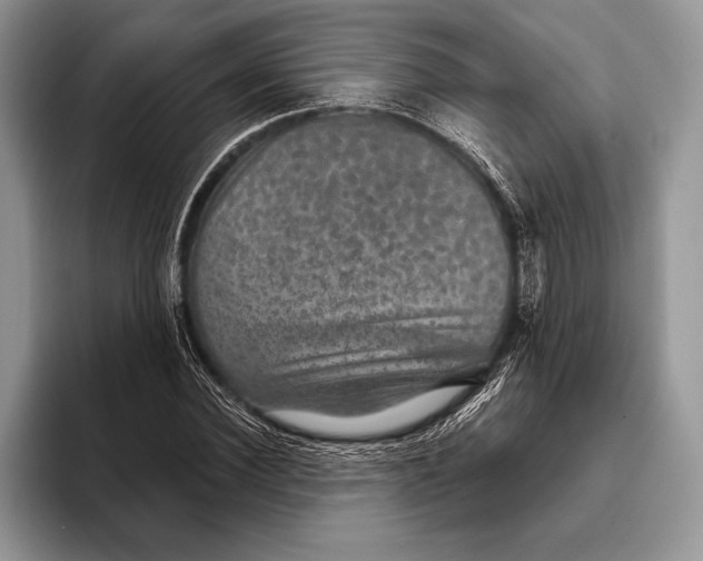 X0000093400924200711091338