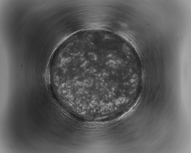 X0000093400925200711091338