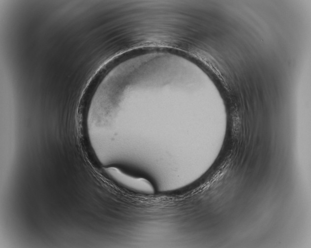 X0000093400926200711091338