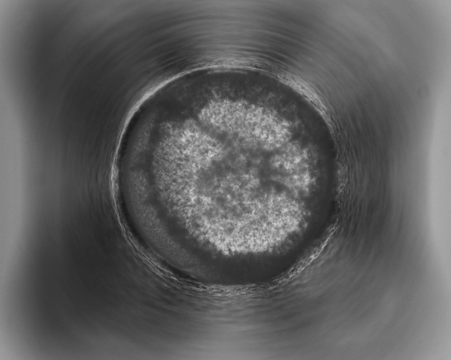 X0000093400928200711091338