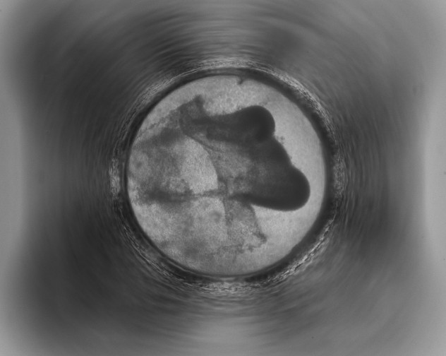 X0000093400929200711091338