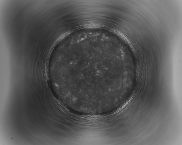 X0000093400930200711091338