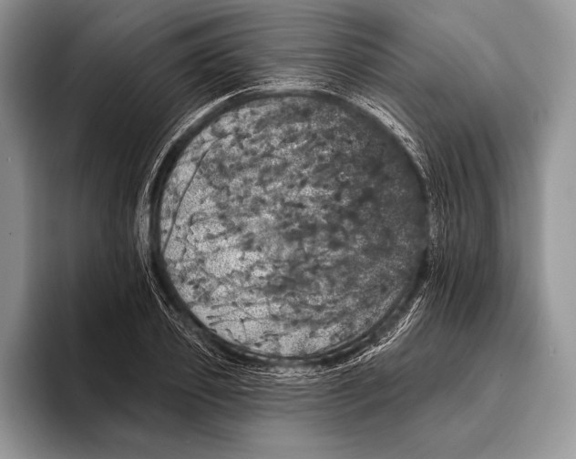 X0000093400933200711091338