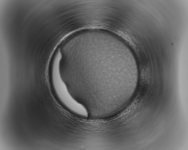 X0000093400934200711091338