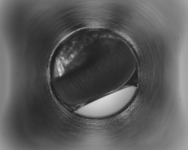 X0000093400935200711091338