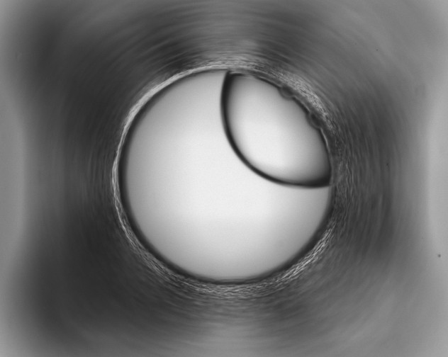 X0000093400936200711091338