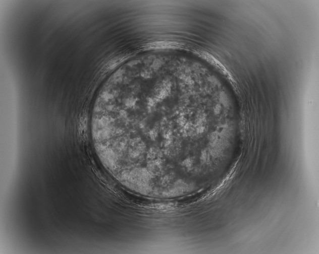 X0000093400937200711091338