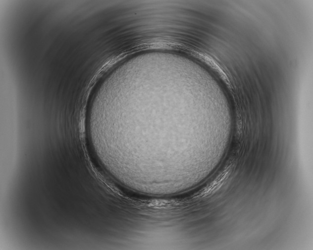 X0000093400938200711091338