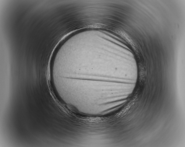 X0000093400940200711091338