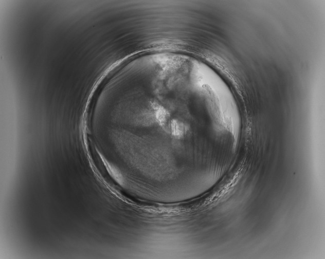 X0000093400941200711091338