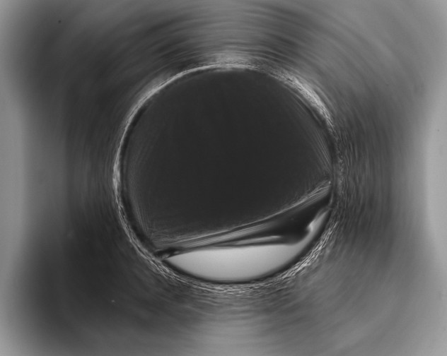 X0000093400944200711091338