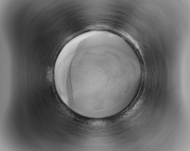 X0000093400945200711091338