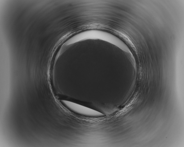 X0000093400946200711091338