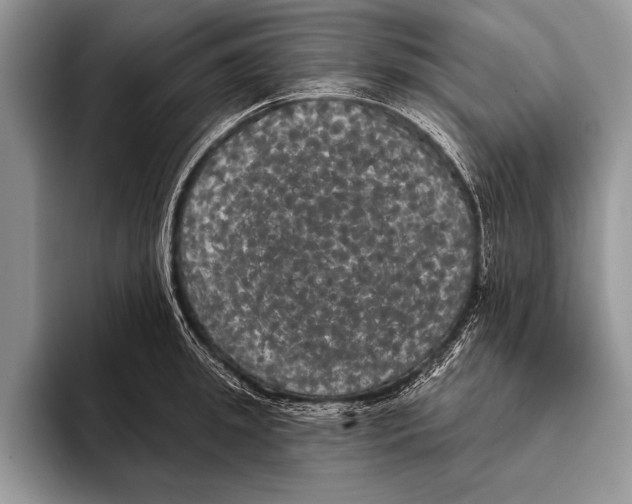 X0000093400949200711091338