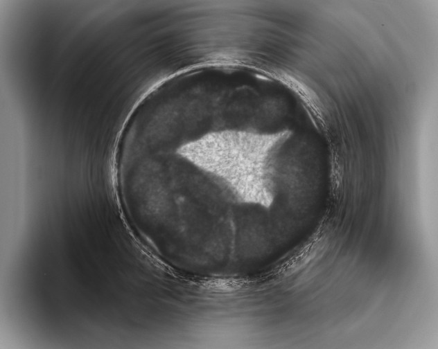 X0000093400950200711091338