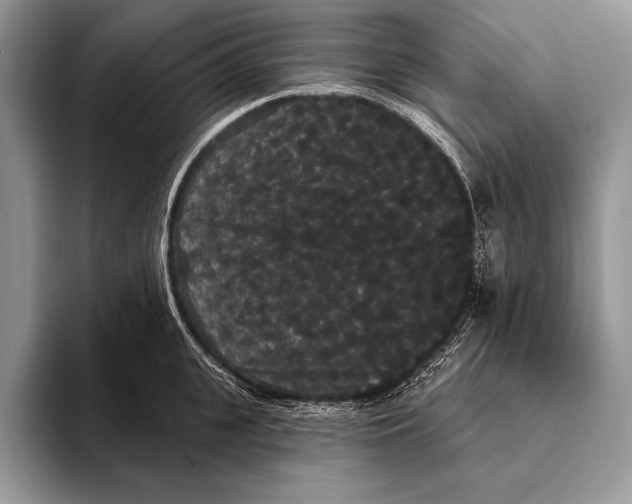 X0000093400951200711091338