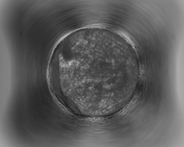 X0000093400952200711091338