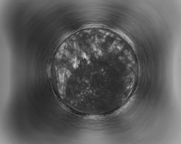 X0000093400953200711091338