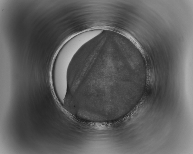 X0000093400955200711091338