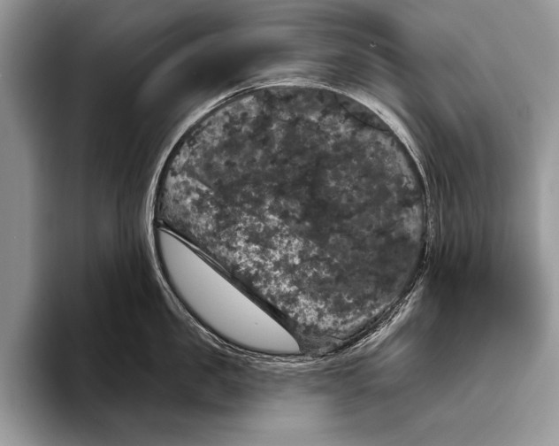 X0000093400957200711091339