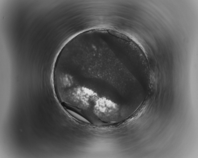 X0000093400959200711091339