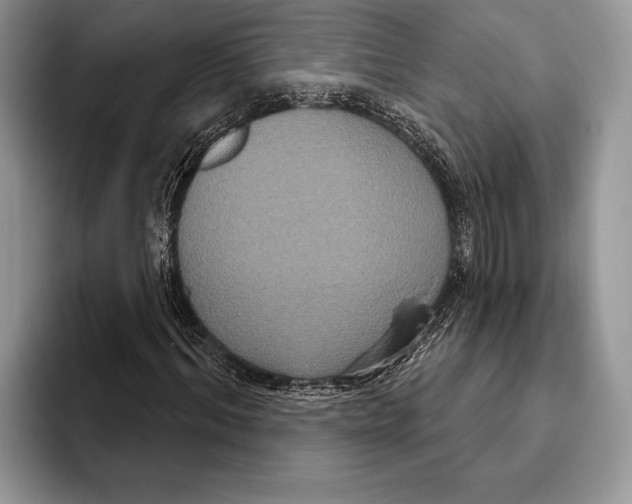 X0000093400964200711091338