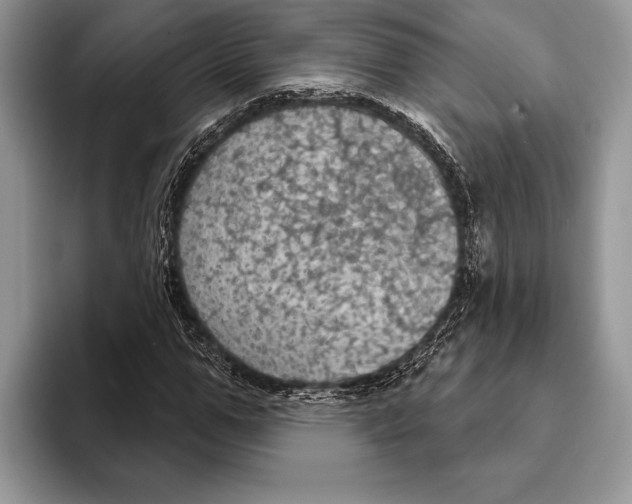 X0000093400967200711091338