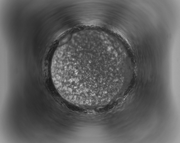 X0000093400968200711091338