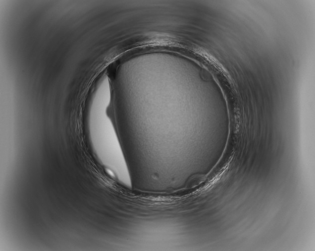 X0000093400969200711091338