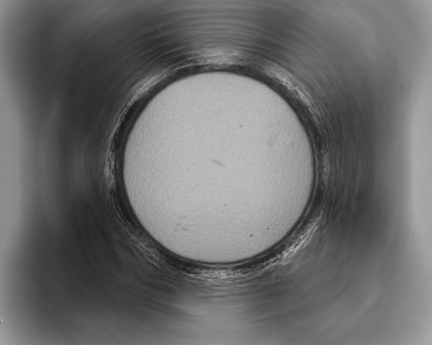 X0000093400970200711091338